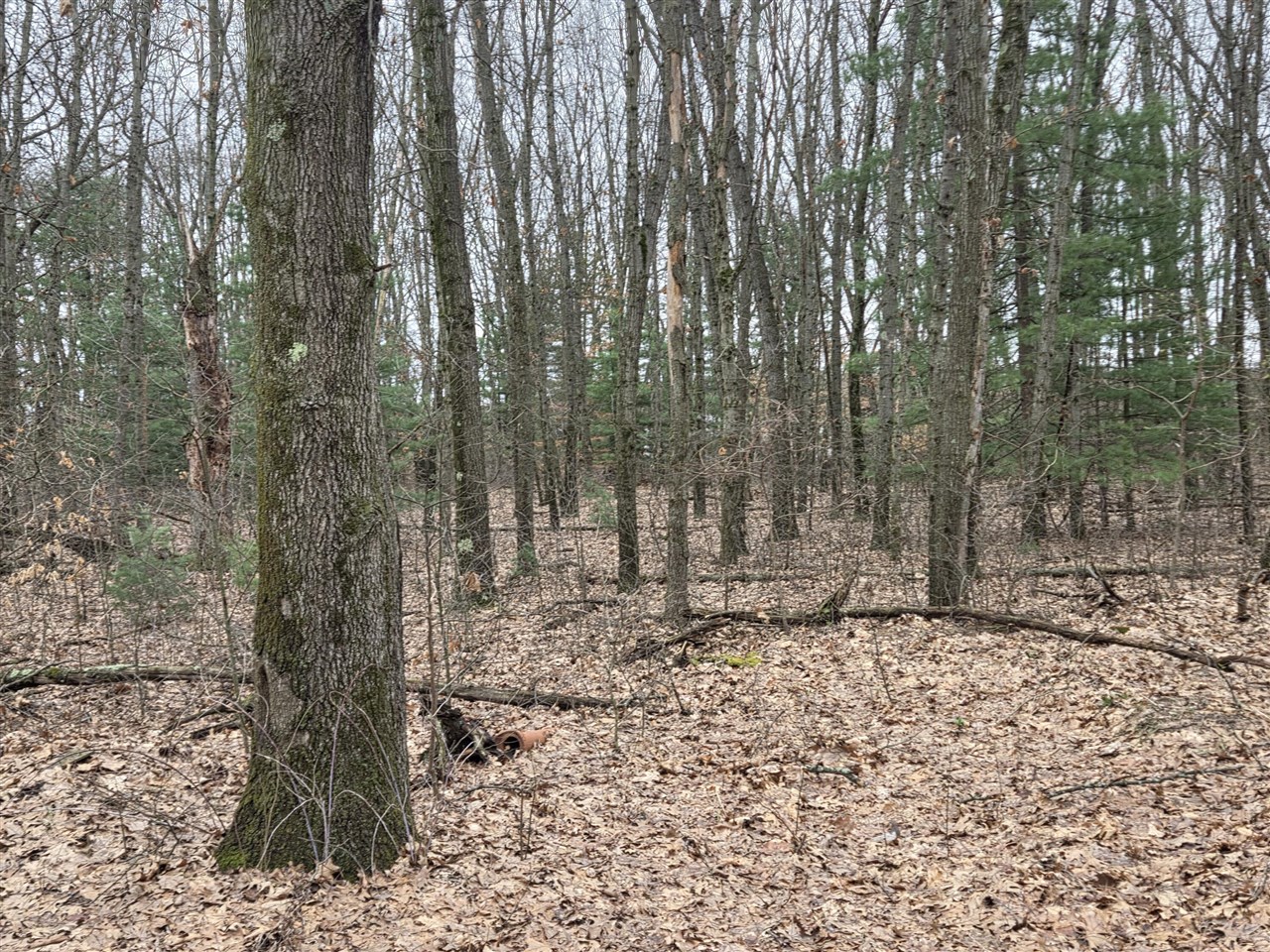 26641 60th Avenue, Mattawan, MI, 49071-9511