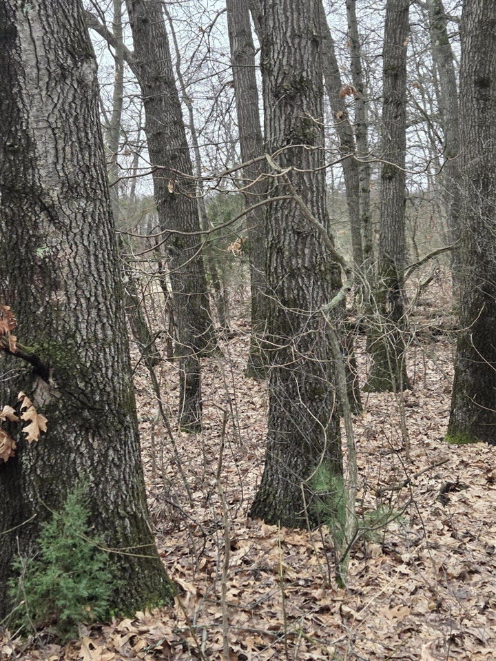 26641 60th Avenue, Mattawan, MI, 49071-9511