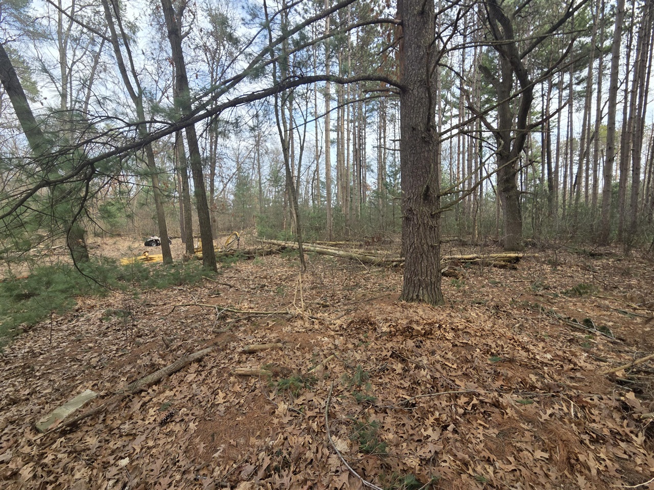 26641 60th Avenue, Mattawan, MI, 49071-9511