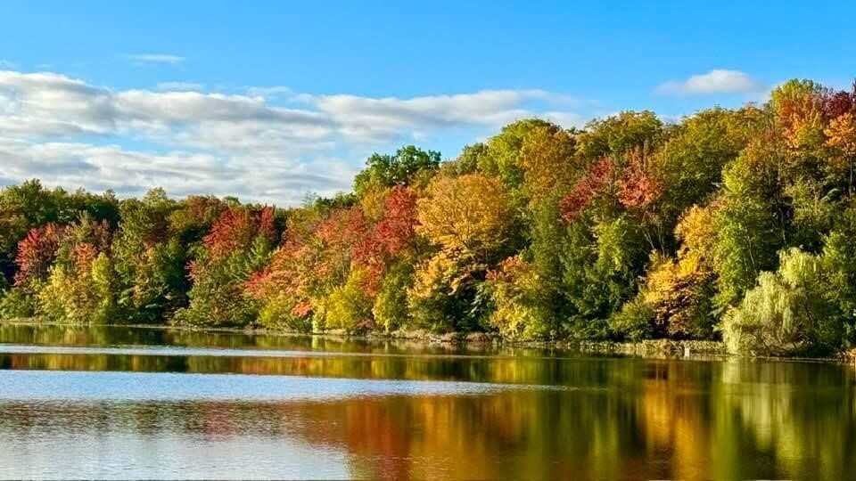 20308 Lakeview Drive, Tustin, MI, 49688-8286