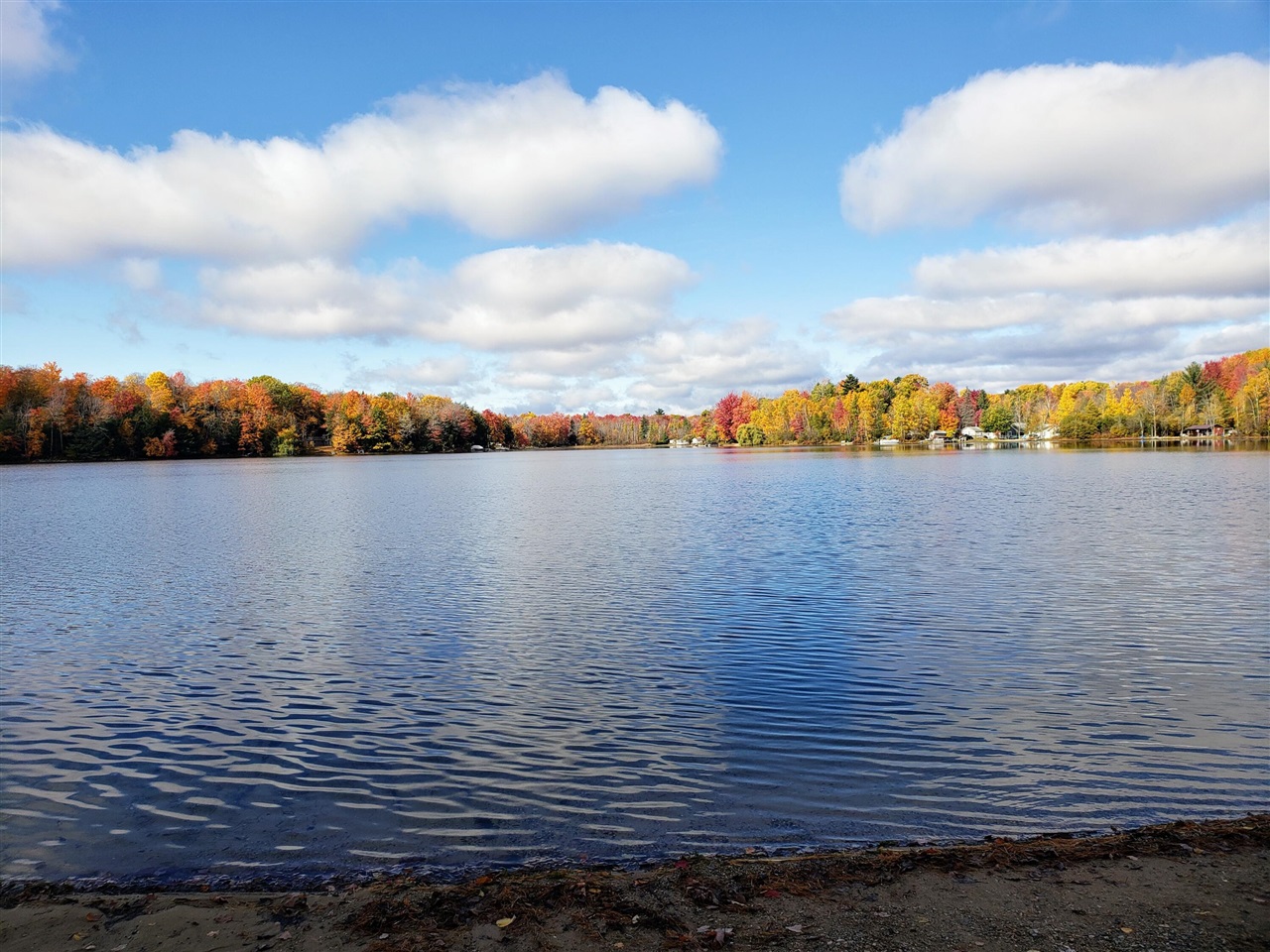 20308 Lakeview Drive, Tustin, MI, 49688-8286