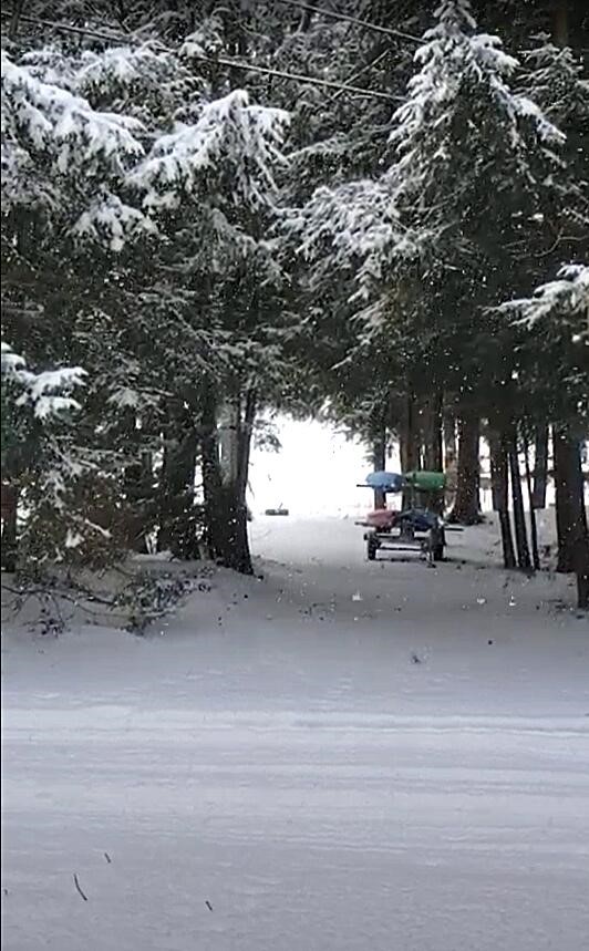 20308 Lakeview Drive, Tustin, MI, 49688-8286