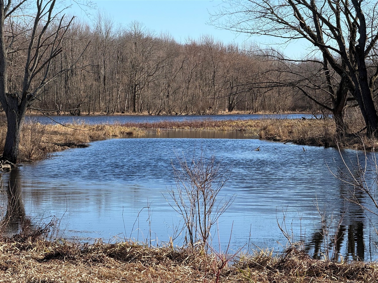 VL E Dowling Road, Dowling, MI, 49050