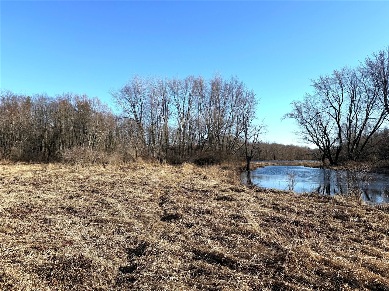 VL E Dowling Road, Dowling, MI, 49050