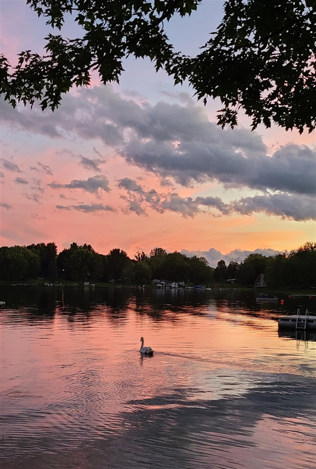 3726 Peterson Drive, Gobles, MI, 49055