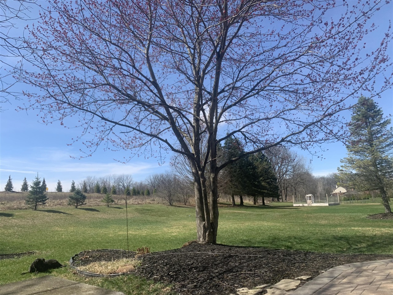 49601 Deer Run, Northville, MI, 48167