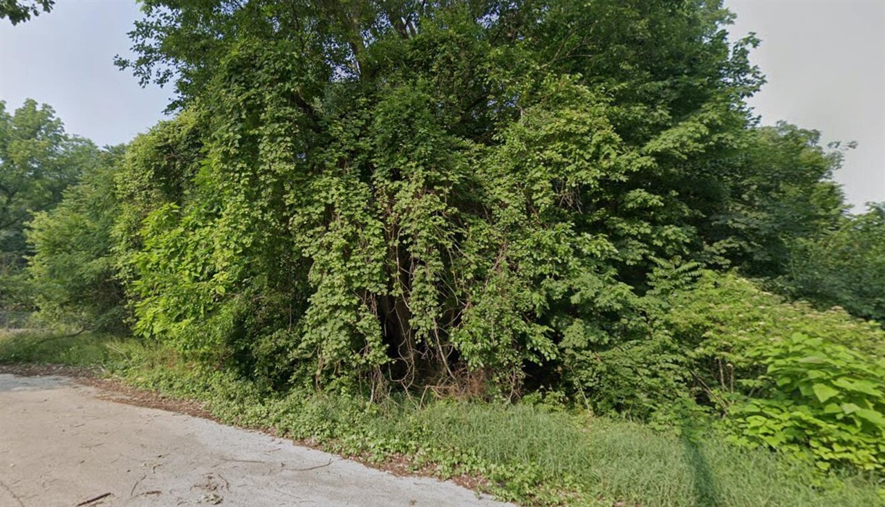 2131 Oakville Waltz Road, Update, MI, 48164 9697