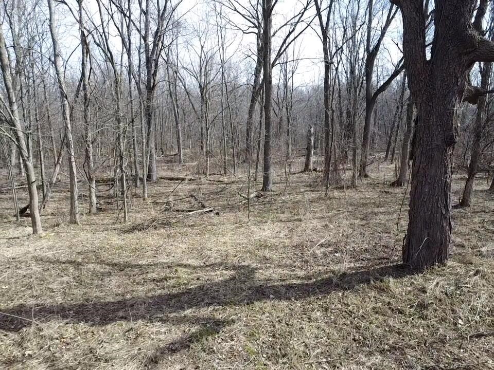 8453 S Durand Road, Durand, MI, 48429