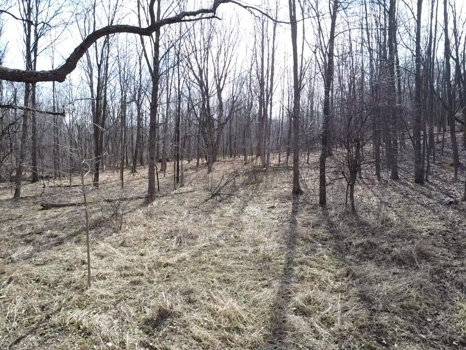 8453 S Durand Road, Durand, MI, 48429