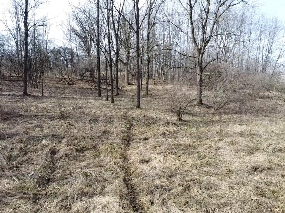 8453 S Durand Road, Durand, MI, 48429