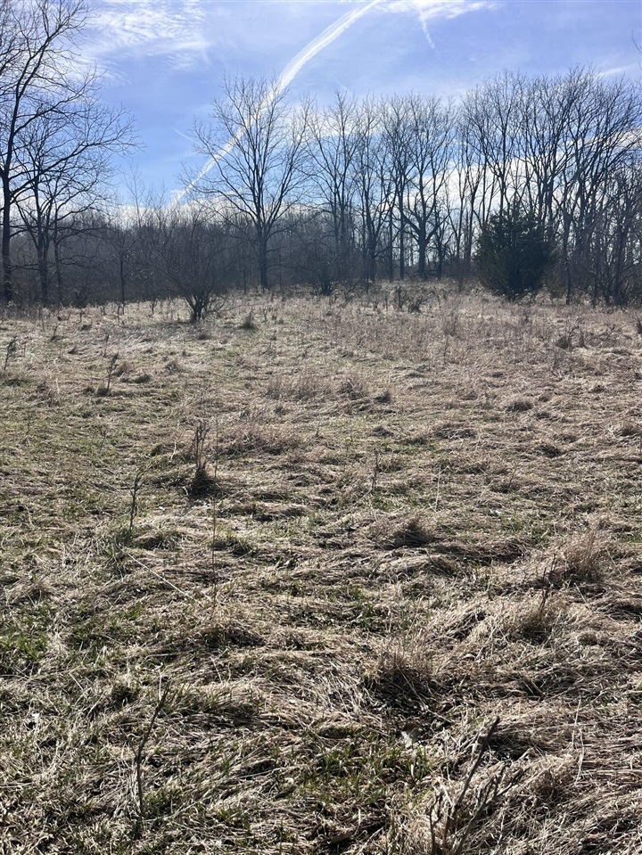 8453 S Durand Road, Durand, MI, 48429