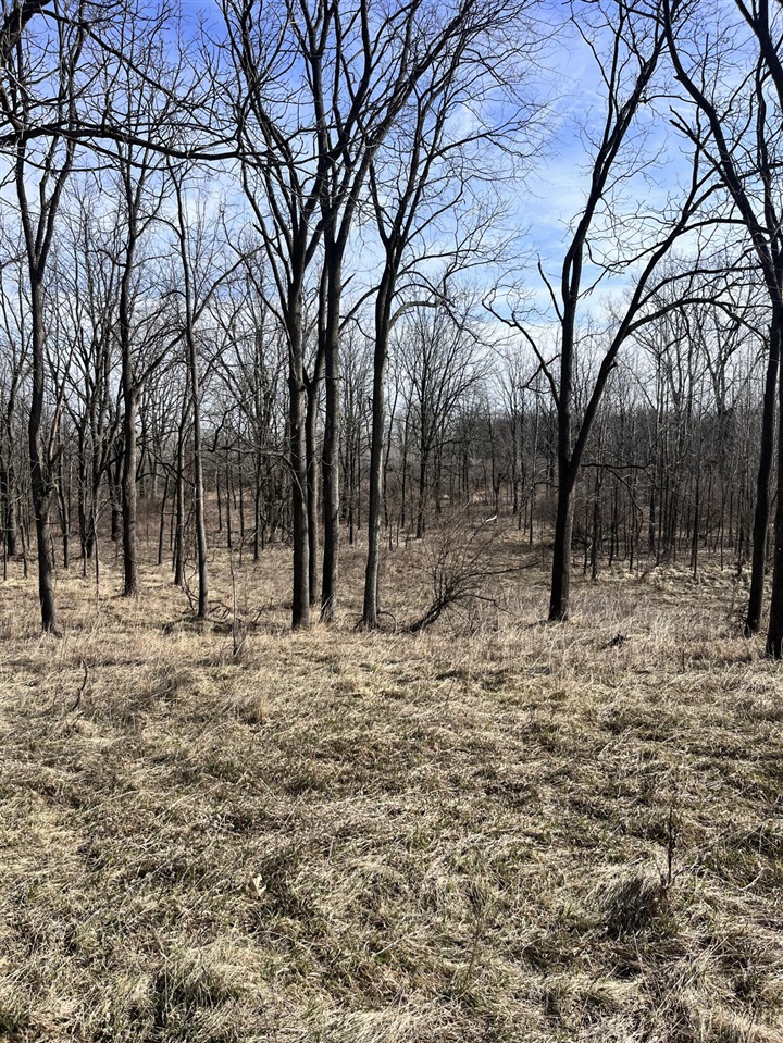 8453 S Durand Road, Durand, MI, 48429