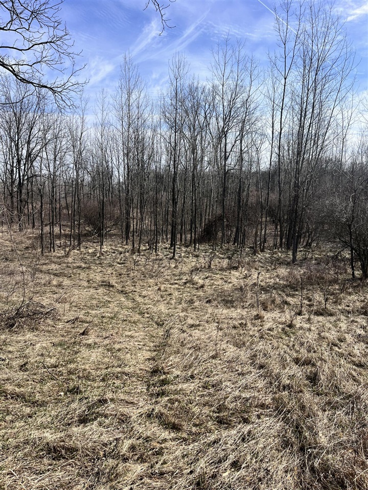 8453 S Durand Road, Durand, MI, 48429