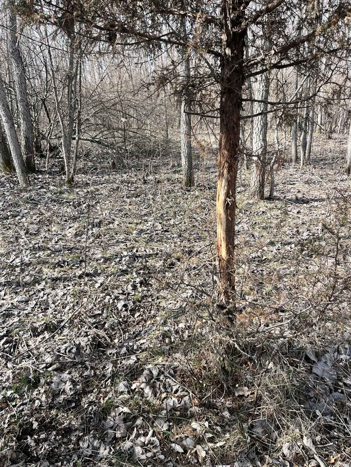 8453 S Durand Road, Durand, MI, 48429