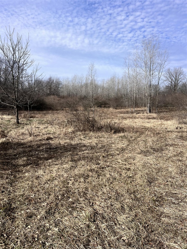 8453 S Durand Road, Durand, MI, 48429