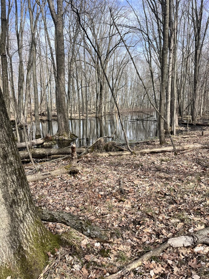 8453 S Durand Road, Durand, MI, 48429