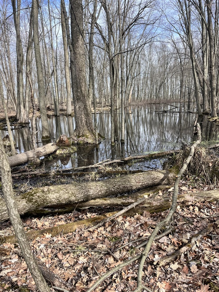 8453 S Durand Road, Durand, MI, 48429