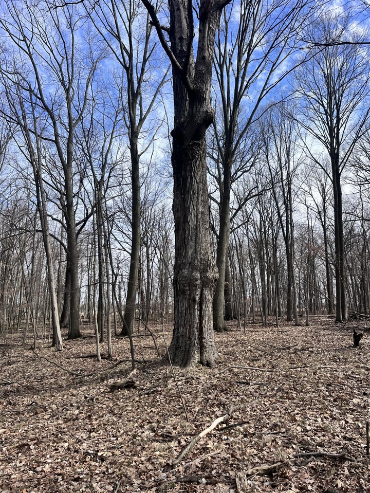 8453 S Durand Road, Durand, MI, 48429