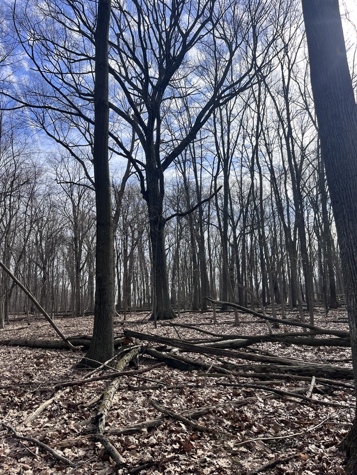 8453 S Durand Road, Durand, MI, 48429