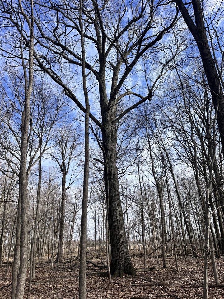 8453 S Durand Road, Durand, MI, 48429