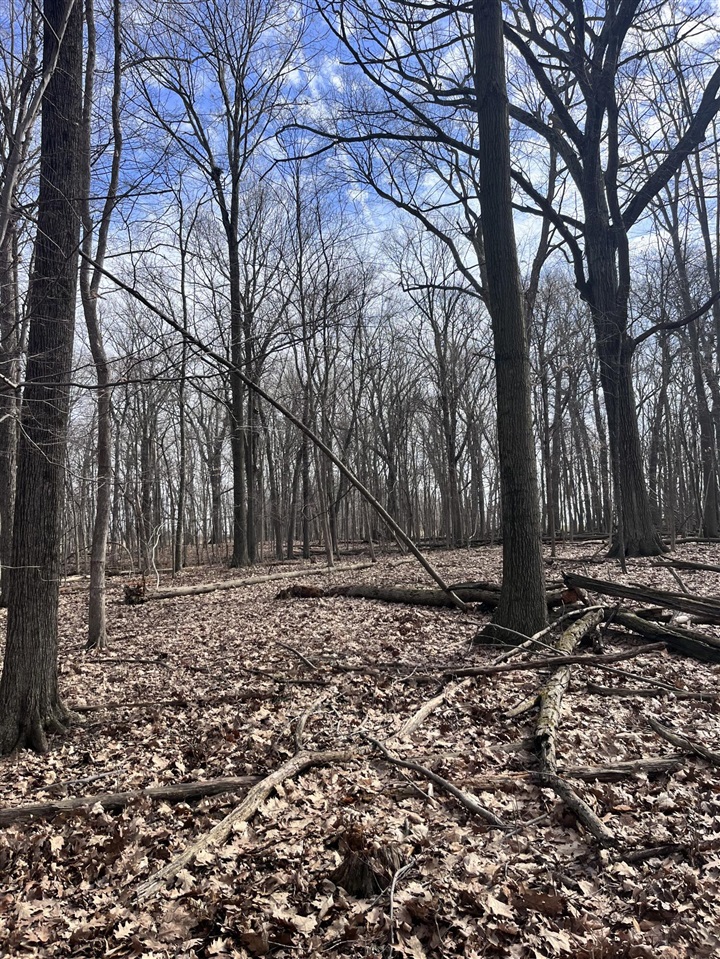 8453 S Durand Road, Durand, MI, 48429