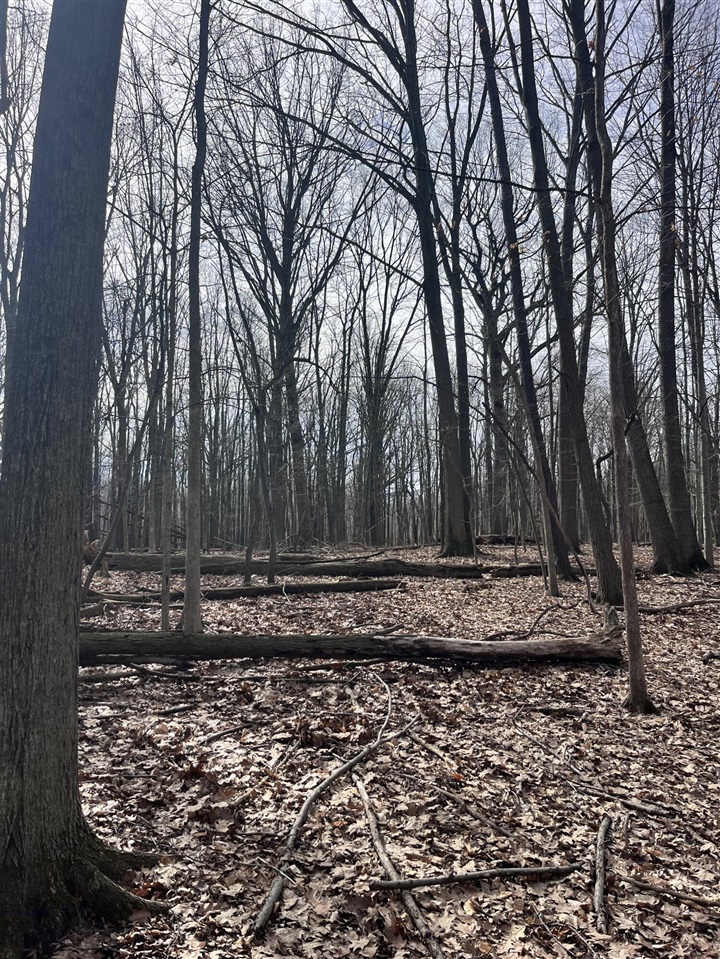 8453 S Durand Road, Durand, MI, 48429