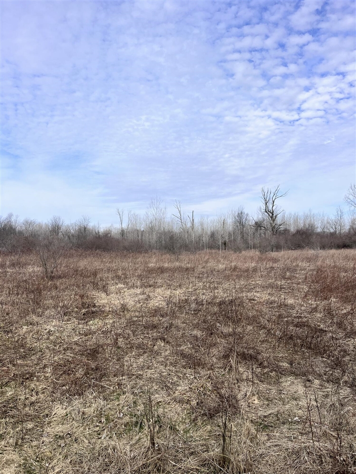 8453 S Durand Road, Durand, MI, 48429