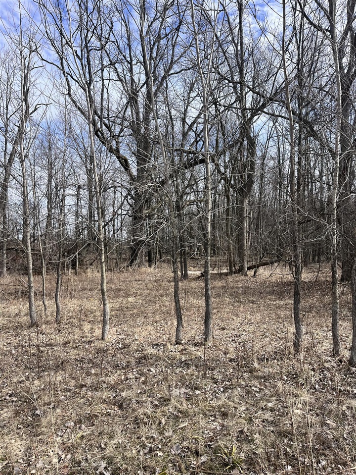 8453 S Durand Road, Durand, MI, 48429