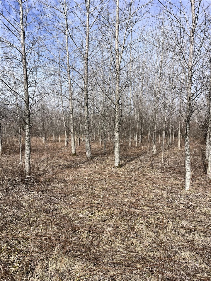 8453 S Durand Road, Durand, MI, 48429