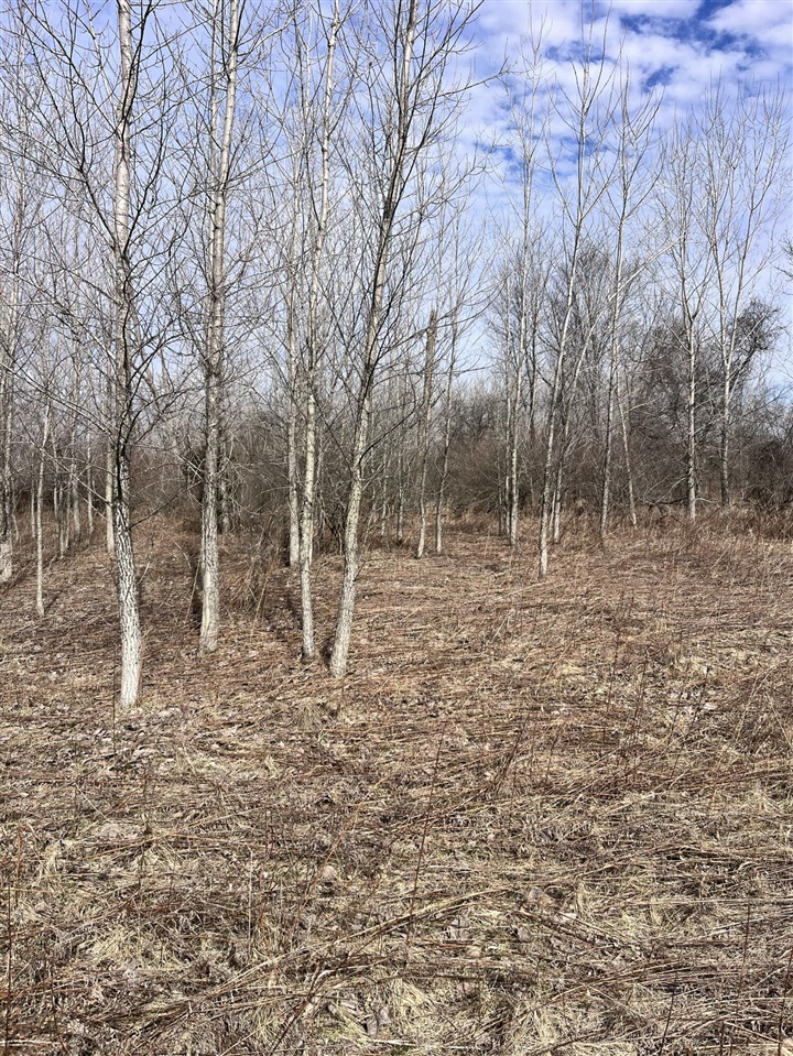 8453 S Durand Road, Durand, MI, 48429