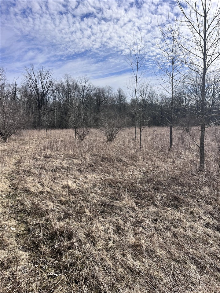 8453 S Durand Road, Durand, MI, 48429