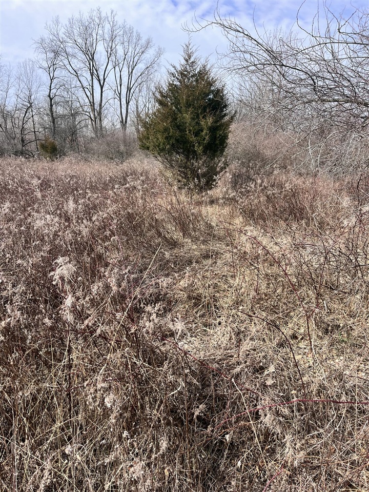 8453 S Durand Road, Durand, MI, 48429