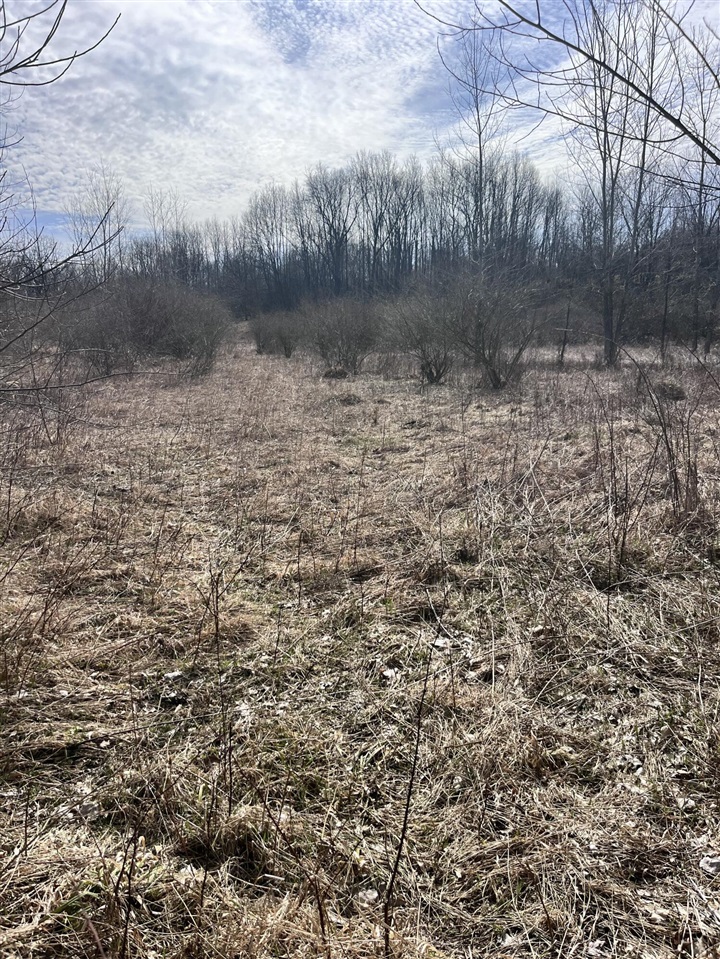 8453 S Durand Road, Durand, MI, 48429