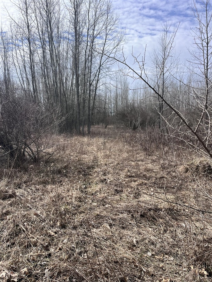 8453 S Durand Road, Durand, MI, 48429