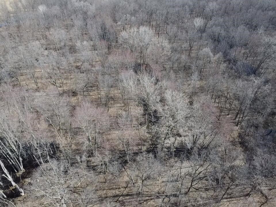 8453 S Durand Road, Durand, MI, 48429