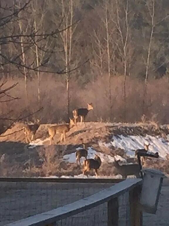 371 N Stiles Road, Ludington, MI, 49431-9103