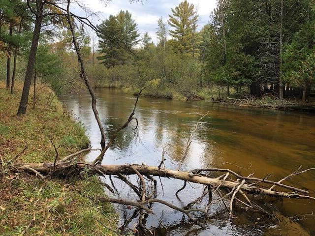 9240 W River Road, Irons, MI, 49644