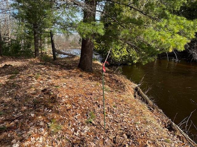 9240 W River Road, Irons, MI, 49644