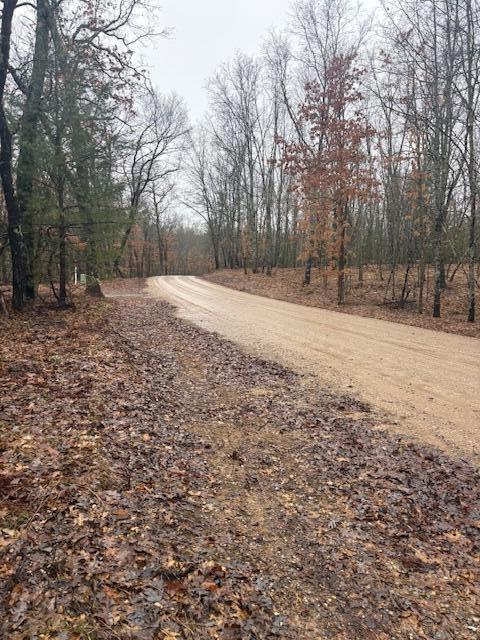 9240 W River Road, Irons, MI, 49644