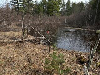 9240 W River Road, Irons, MI, 49644