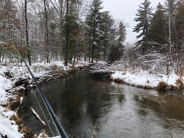 9240 W River Road, Irons, MI, 49644