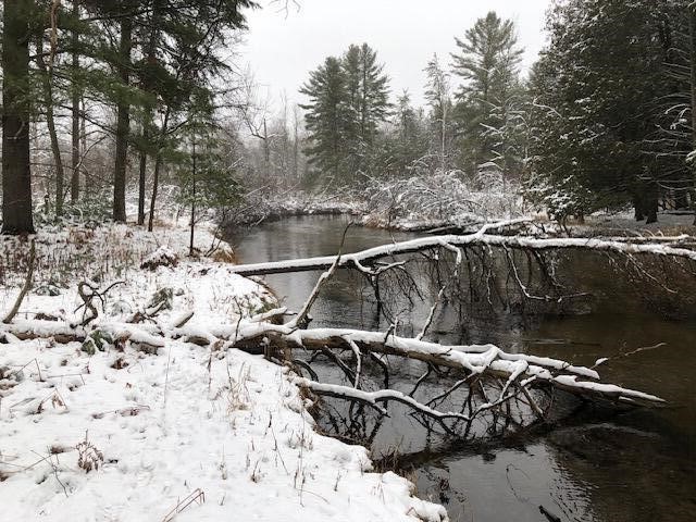 9240 W River Road, Irons, MI, 49644