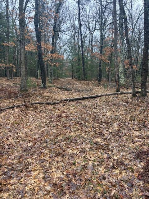 9240 W River Road, Irons, MI, 49644