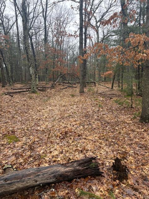 9240 W River Road, Irons, MI, 49644