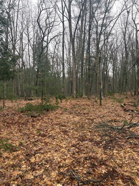 9240 W River Road, Irons, MI, 49644