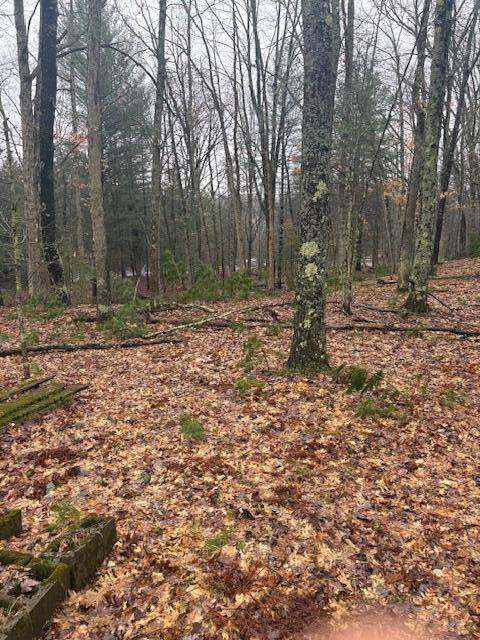 9240 W River Road, Irons, MI, 49644