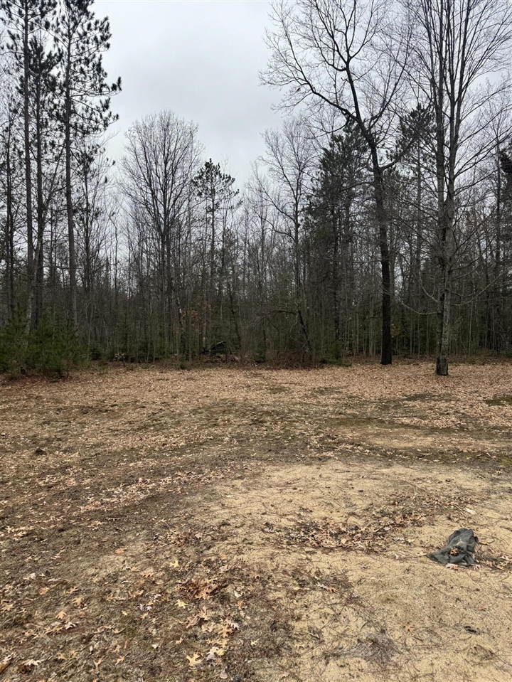 5th image of 10365 Cadillac Dr, Lake, MI 48632 | MLS# 70523268