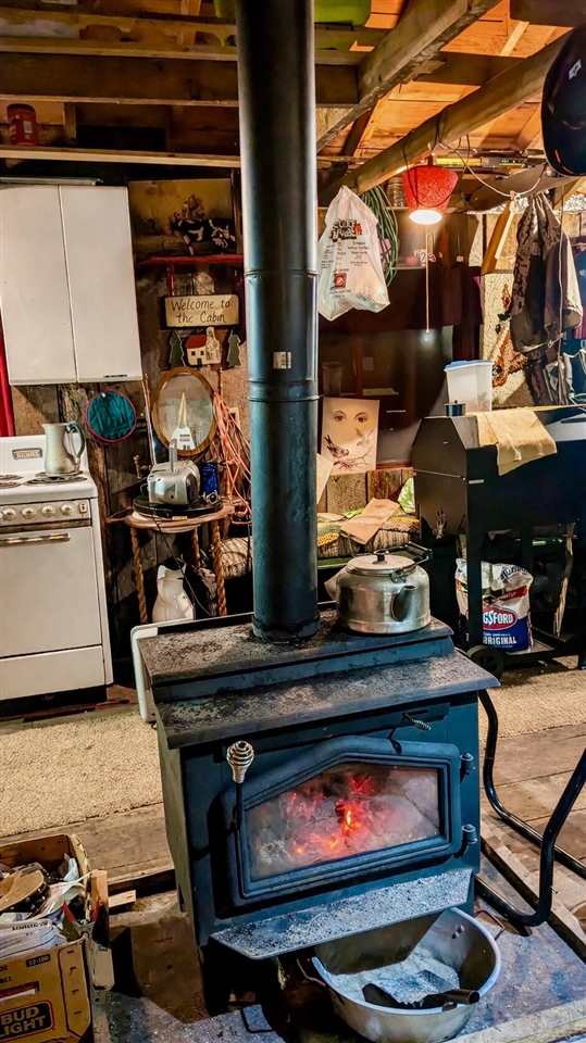 3194 N Warfield Road, Harrietta, MI, 49638-9604