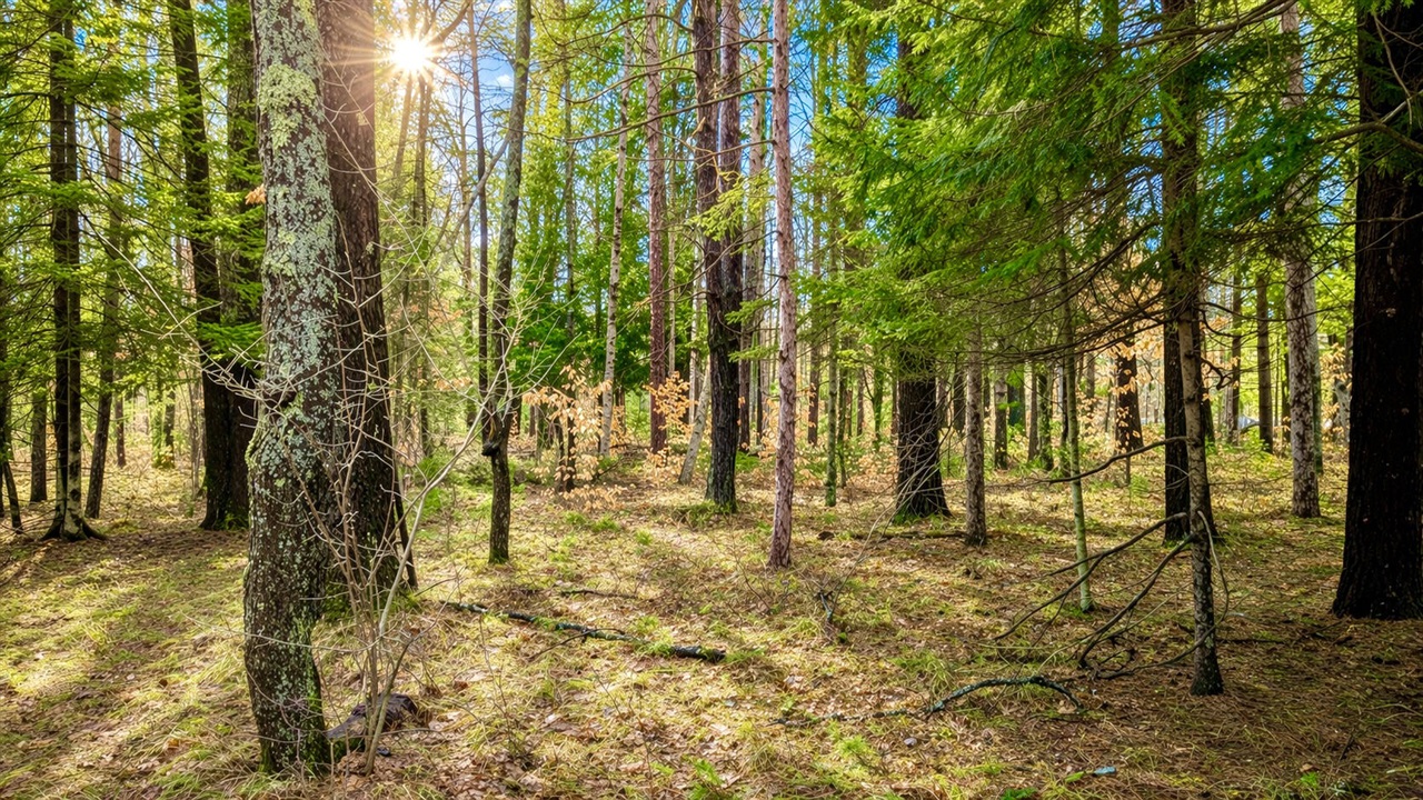 3194 N Warfield Road, Harrietta, MI, 49638-9604