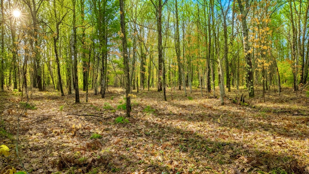 3194 N Warfield Road, Harrietta, MI, 49638-9604